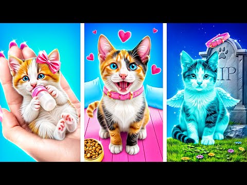 Ik heb Kitten Geadopteerd! Geheime Lifehacks voor Eigenaren Huisdieren! Hoe zorg je voor Рuisdier?