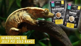 Arcadia EarthPro FruityInsectGold 50g