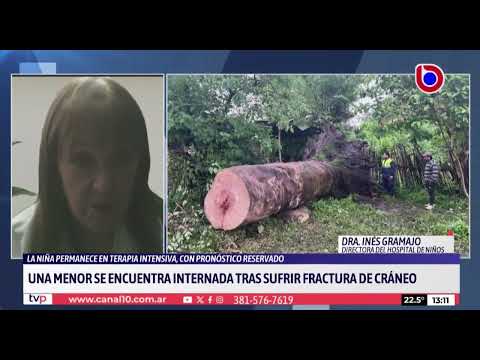 Santa Ana: una nena permanece internada tras un grave accidente