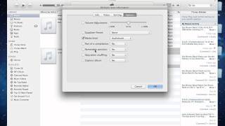 Tutorial: How to Organize audio files files as Audiobooks in iTunes