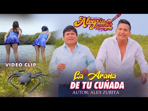 La Araña de Tu Cuñada - Alegría Huaringeña  video clip 4k