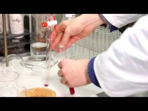 CampusTV Mainz 202 - Frischefolie