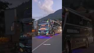 Download lagu status wa bus pariwisata galau mp3