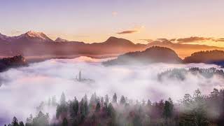 Koga sings 타이비언 Taibian 배영하는 물고기