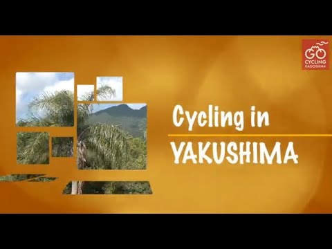 【かごしまサイクルツーリズム】癒やしの自然で深呼吸！屋久島ルートをサイクリング！