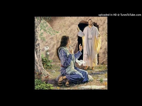 Atos 2 29-32 Todos nós somos testemunhas desse fato