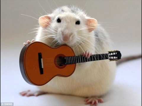 Como Reconquistar Um Grande Amor video