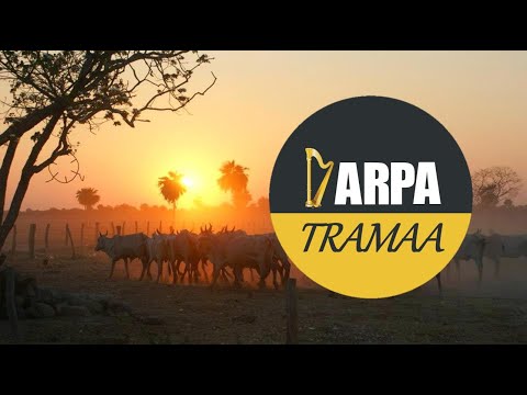 Rafael Volcán - Viejo Pero Visionario