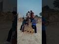 Phatela Jeb Group Dance Video Nitin Sharma Choreography Dancer Bollywood Explore Youtubeshorts