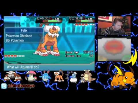 Ladder Up #33 - Mushroom Civil War: Brother Vs. Brother