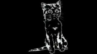 Andrew Jackson Jihad - Going to Georgia