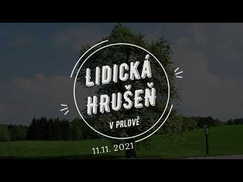 Jiřina Lysáková - Jiřina Lysáková - Chválím tě země má (cover, Uhlíř/Svěrák, LIVE 