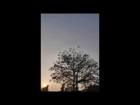 Panchi Hojavan by Jasleen Royal | Shiv Kumar Batalvi | Punjabi song