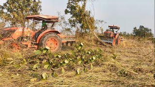 ត្រាក់ទ័ររុញព្រៃ_Kubota M6040su Tractor Pushing Over Tree (Cambodia Farm)