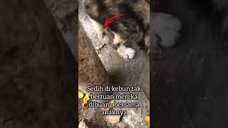 Download lagu http://youtube.com/post/Ugkx0TAb0Uf895Zg9GWNFceHGDGfJIwpy0by?si=C94qUWkuuEa5508F mp3 Download lagu http://youtube.com/post/Ugkx0TAb0Uf895Zg9GWNFceHGDGfJIwpy0by?si=C94qUWkuuEa5508F mp3