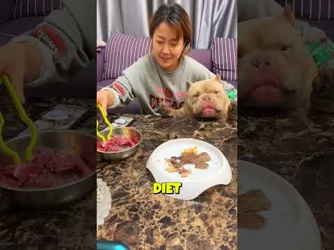 This Dog Became A Mother For The First Time 🐶❤️‍🩹🥹