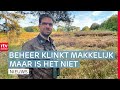 Wolvenbeheer lastig uitvoerbaar & 500 tot 600 veehouders moeten stoppen  | Drenthe Nu