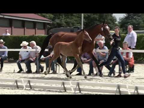 Schuermann, Valverde-Sandro Hit