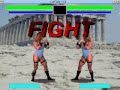 CatFight Gameplay O O