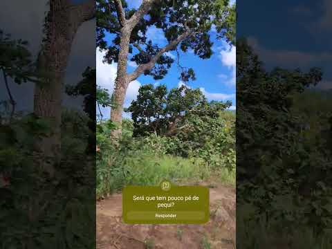 Zona rural de Bom Despacho MG #shorts