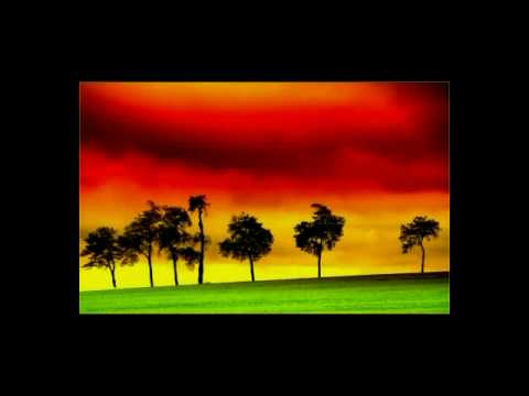 il generale toni - un cane sciolto