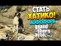 GTA 5 PS4 | Как стать ХАТИКО!? 