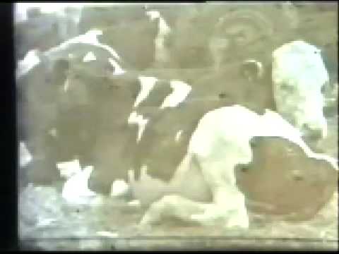 Archive Video 2