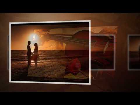 Tình ơi! Hỡi tình! - Nam Vĩnh