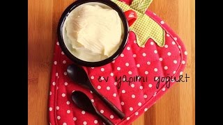 Ev Yapımı Yoğurt nasıl Yapılır ?