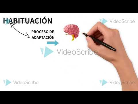 Habituación y Sensibilización