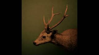 Download lagu BEAT RAP BOOM BAP 'Parca' HIP HOP USO LIBRE - [Prod. Rancio] mp3