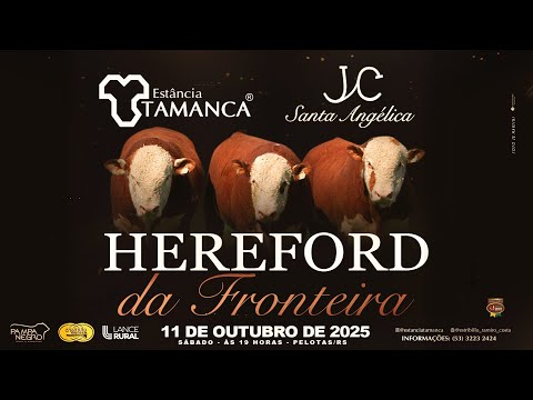 Estância Tamanca Hereford da Fronteira 2025