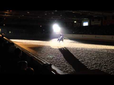 Bretton Woods - Matthias Alexander Rath - Hingstvisning Flyinge 16/3 2013