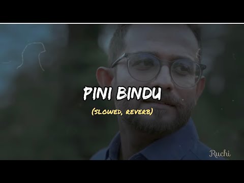 Pini bindu ( Slowed + Reverb)