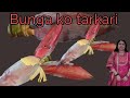 केराको बुङ्गाको तरकारी Banana Flower Curry Recipe Nepali Foo