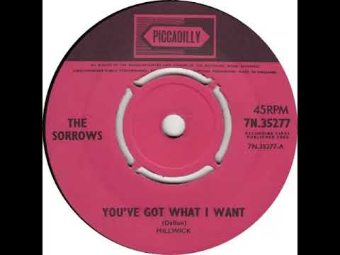 UK New Entry 1965 (309) The Sorrows - You've Got What I Want