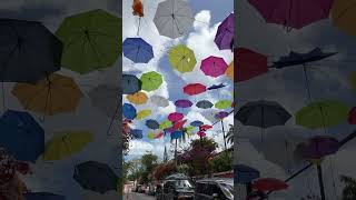 Cruise Excursion Shorts - The Umbrellas of West Hill Street in Nassau Bahamas