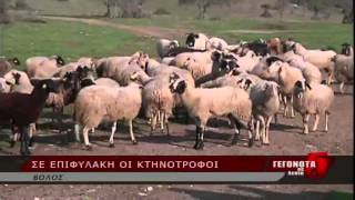 Σε επιφυλακή οι κτηνοτρόφοι