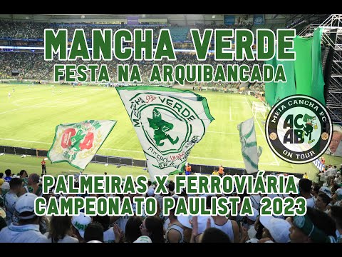MEIA CANCHA FC l Festa da Mancha Verde na arquibancada. Palmeiras x Ferroviária. Paulistão 2023