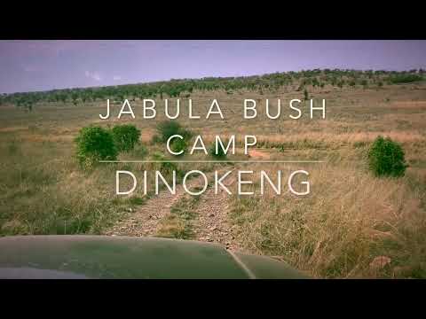 JABULA BUSH CAMP DINOKENG