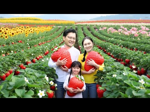 Amazingly, Jack, Tu Tien & Anna Spend 3 Dreamy, Romantic Days in Da Lat Together | Side Story