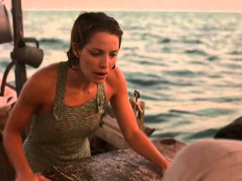 afbeelding After the Storm