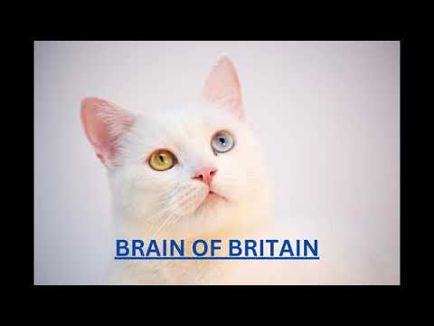 Brain of Britain 2006 - Episode 11