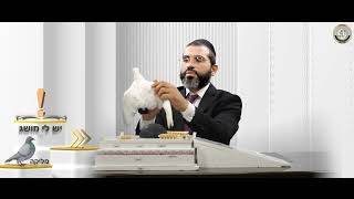 🕊️מליקה: איך הקריבו עוף בבית המקדש? - יש לי מושג ביהדות! 9 | הסבר+המחשה וידיאו 🔍🎬| הרב מאיר אור שרגא (ארגון קול הלשון) - התמונה מוצגת ישירות מתוך אתר האינטרנט יוטיוב. זכויות היוצרים בתמונה שייכות ליוצרה. קישור קרדיט למקור התוכן נמצא בתוך דף הסרטון