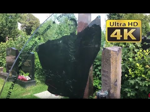 Falco Grab | Wiener Zentralfriedhof 🇦🇹 Österreich