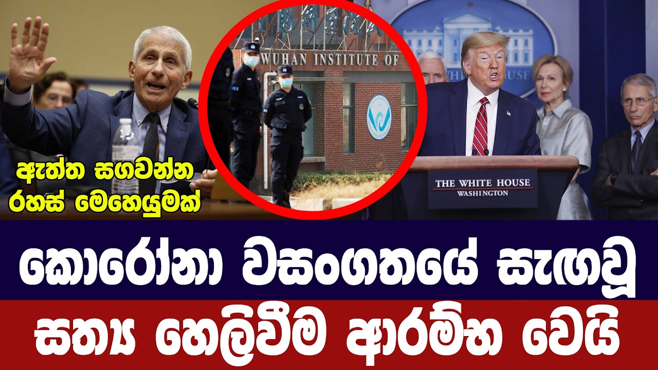 කොරෝනා වසංගතයේ ලොවට සැගවූ ඇත්ත හෙලිවීම ඇරඹෙයි