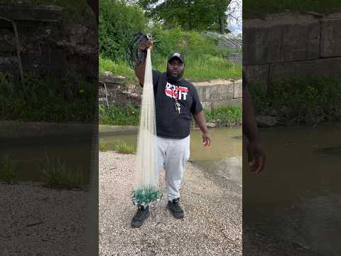 How to throw a castnet for beginners! #fishing