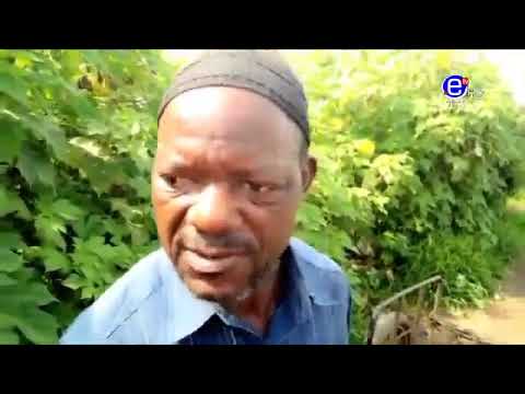 Pidgin News Equinoxe Tv Wednesday April 17th 2019