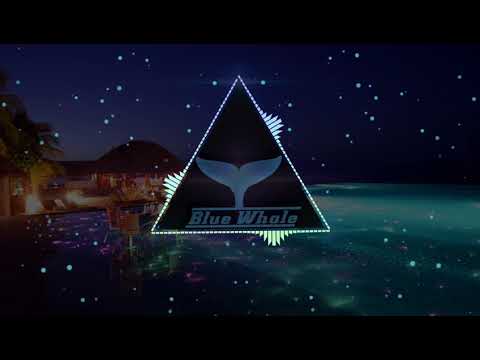 Mr. president - Coco Jambo