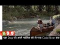 The Call Of The Wild 2020 Movie Review Plot In Hindi Urdu Survival Story
